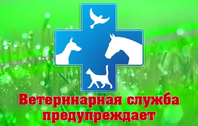 Памятки по особо опасным и карантинным заболеваниям животных.