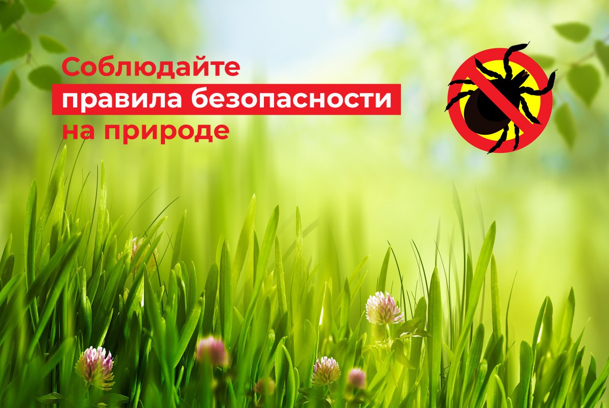Соблюдайте правила безопасности на природе.