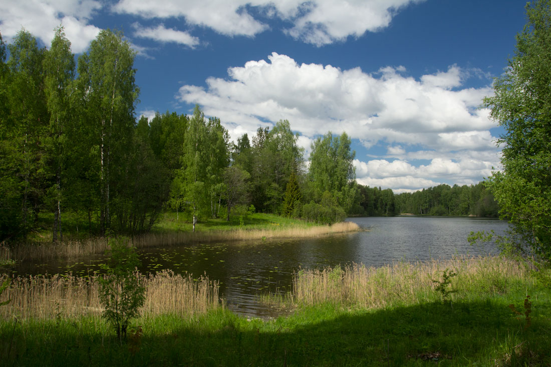 Памятник природы регионального значения «Река Шегринка».