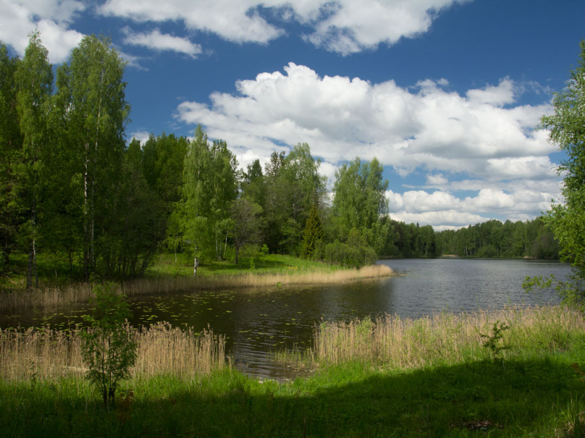 Озеро Нездринское Новгородская