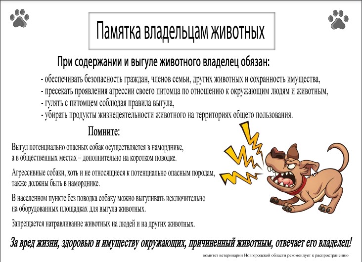 Укажите подпись к картинке. Укажите подпись к картинке.