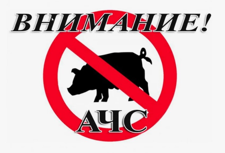 Об установлении ограничительных мероприятий (карантина) по африканской чуме свиней. Об установлении ограничительных мероприятий (карантина) по африканской чуме свиней.